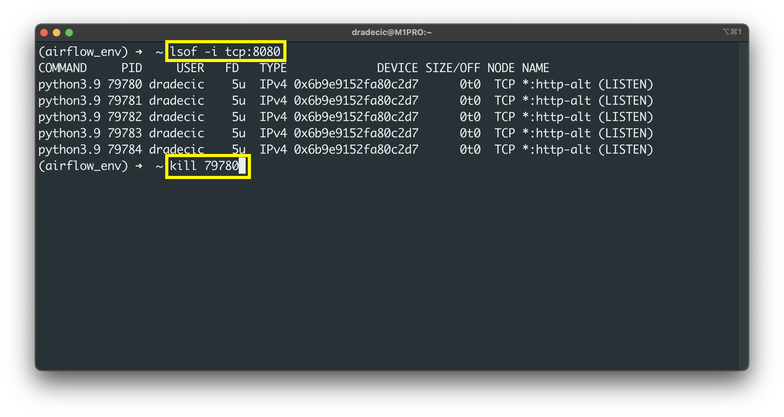 Image 4 - Kill Airflow through the Terminal (image by author)