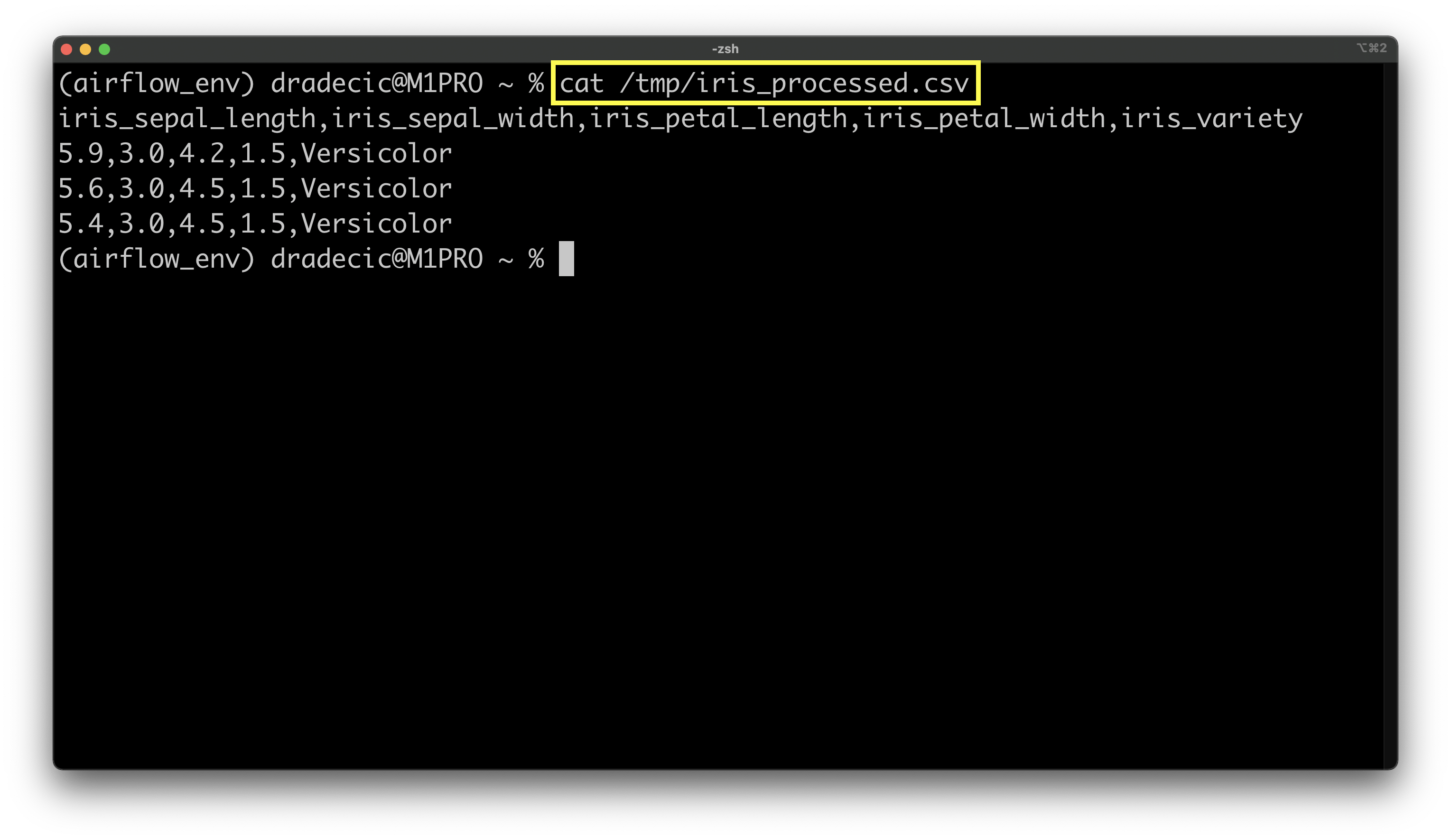 Image 8 - Result of the processing task (image by author)