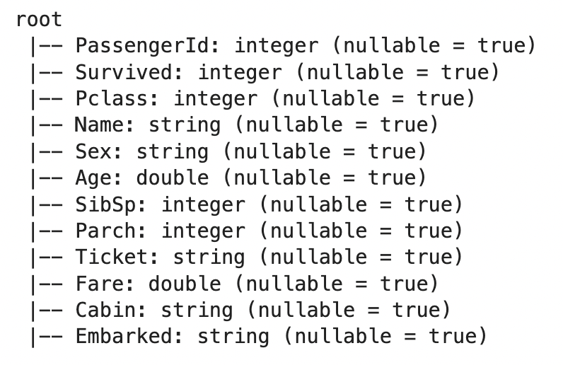 Image 2 - Inferred schema of the Titanic dataset (image by author)