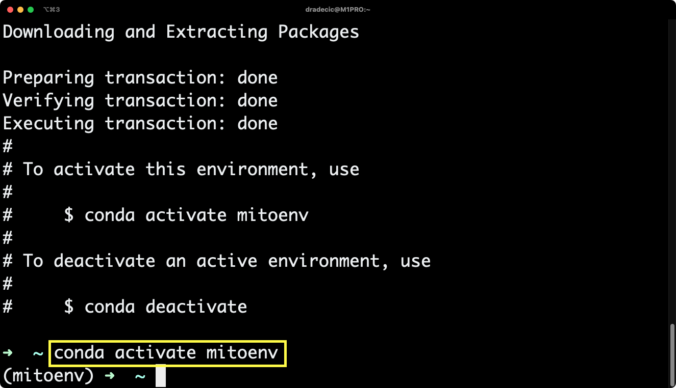 Image 2 - Activating the environment (image by author)