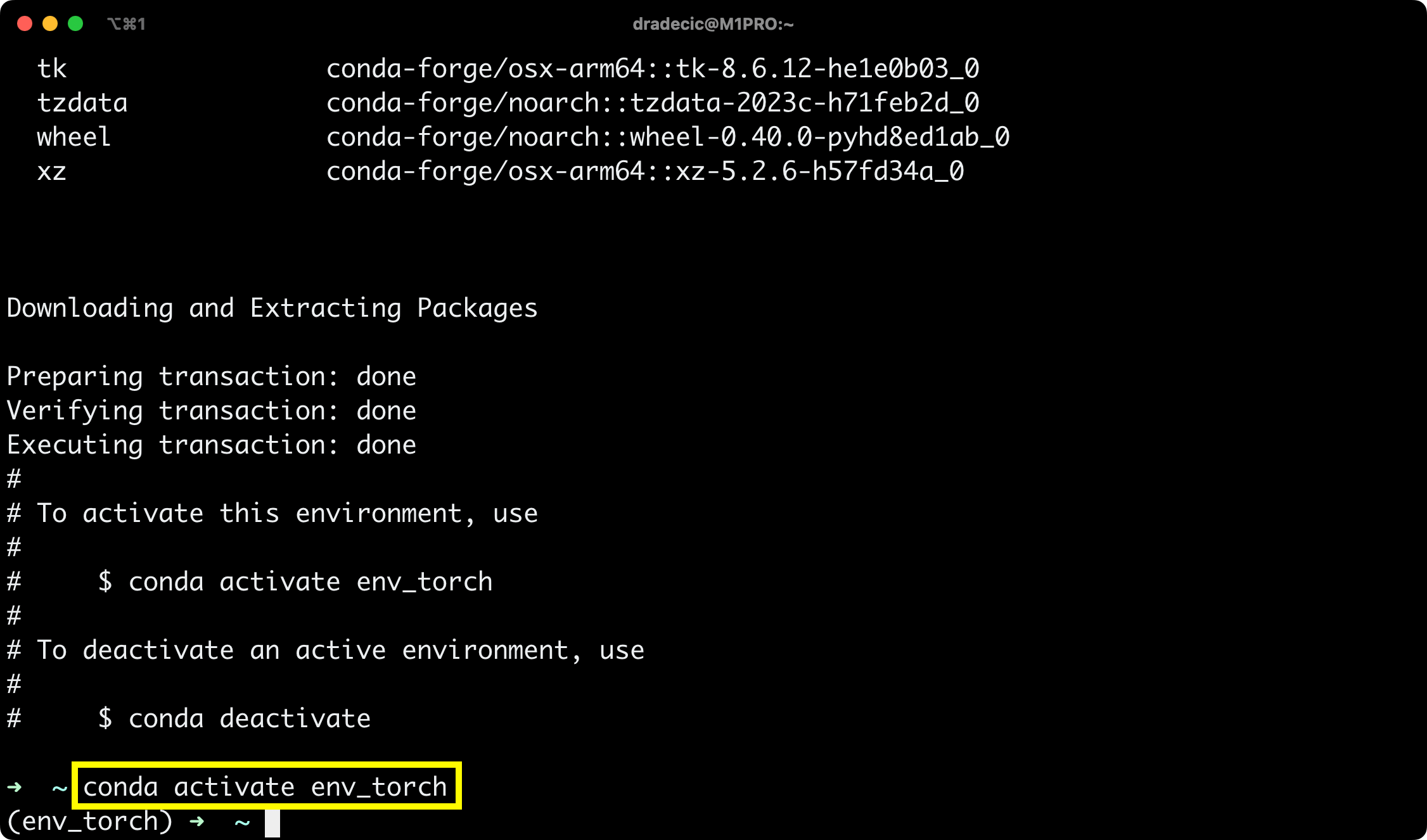 Image 3 - Activating a new virtual environment (Image by author)