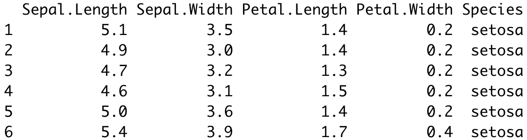 Image 1 - Head of Iris dataset (image by author)