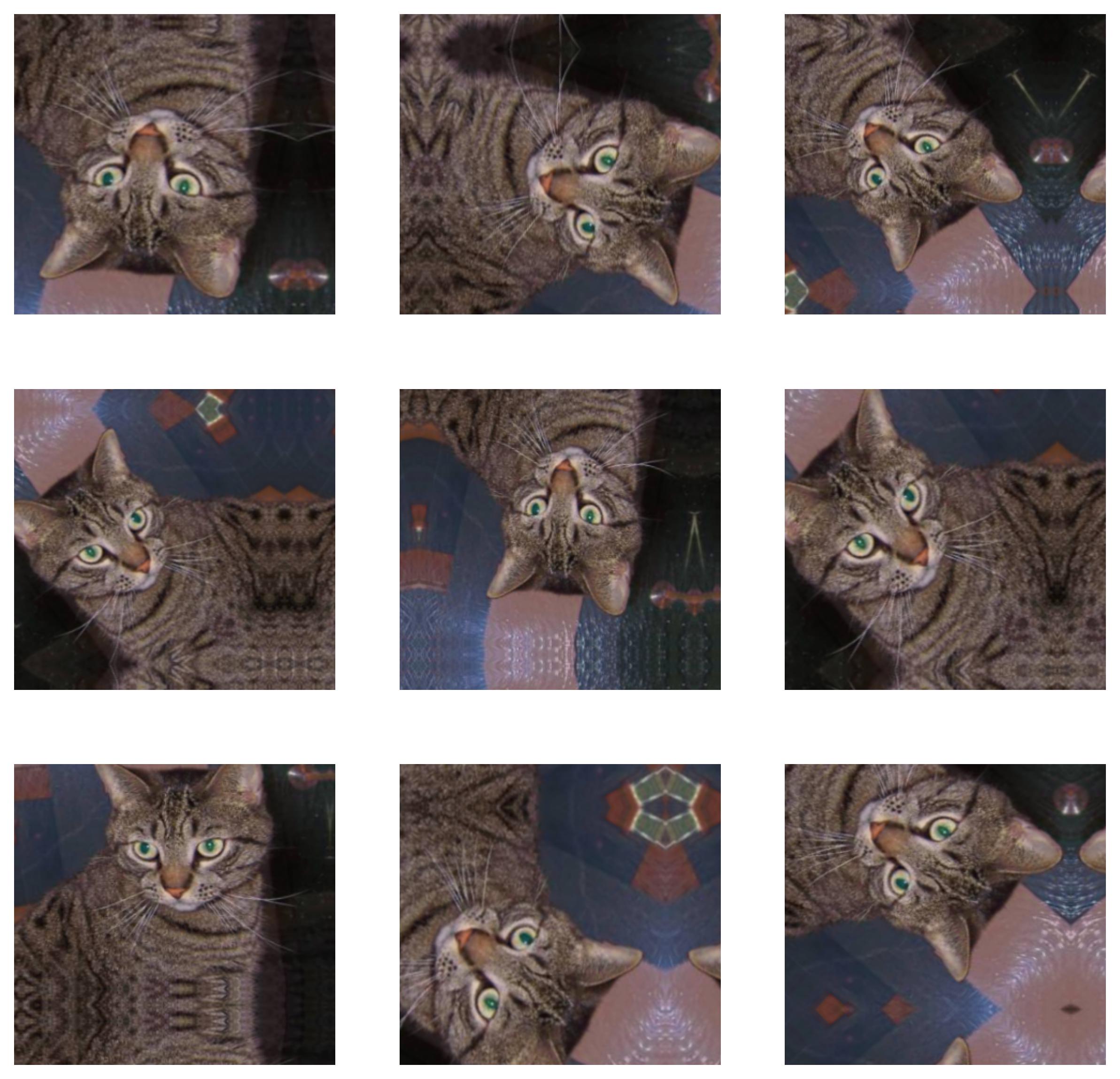 Image 6 - 9 random transformations applied to the same image (image by author)