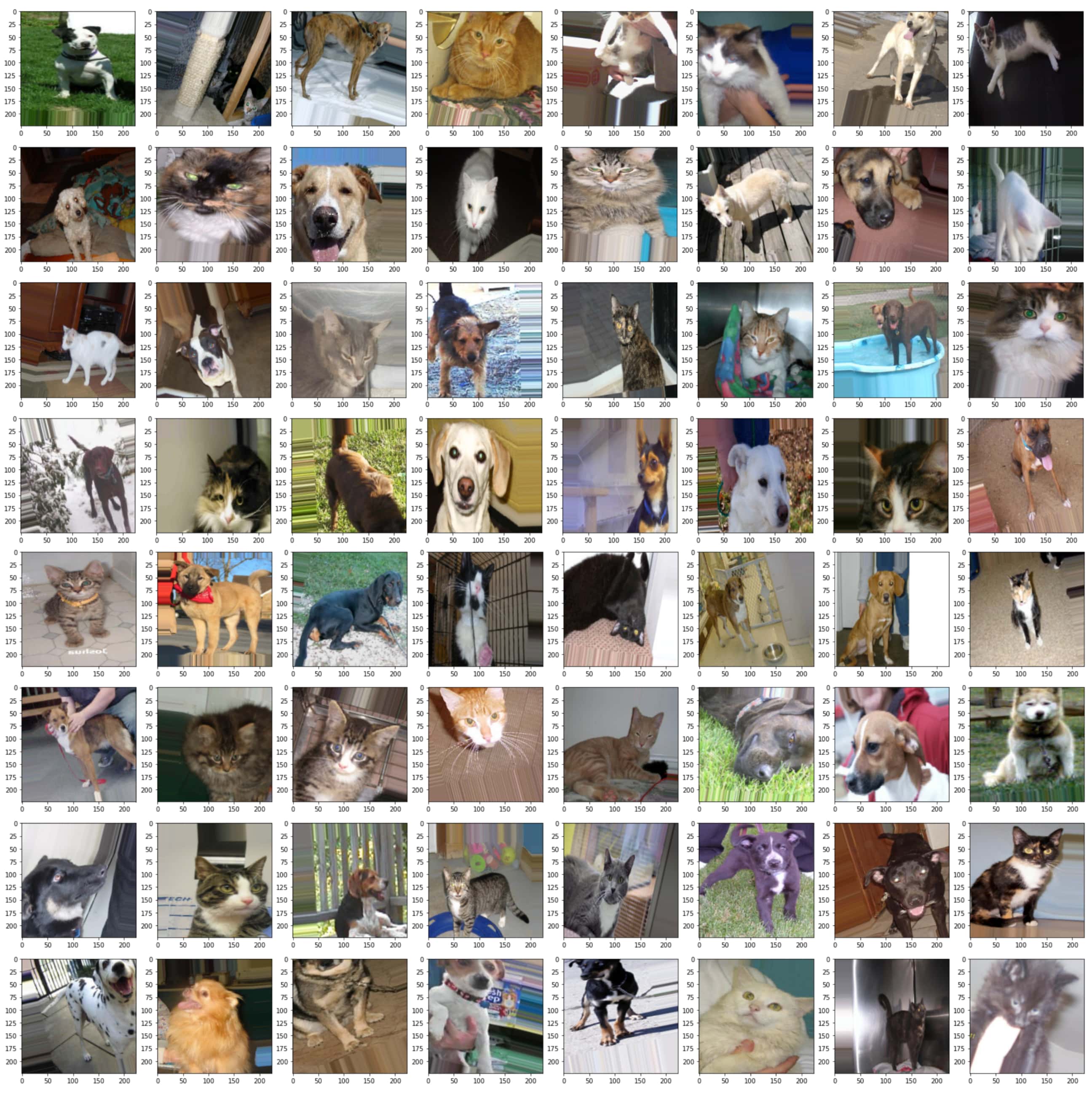 Image 8 - A single batch of 64 images (image by author)